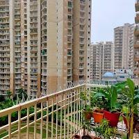 Ajnara Homes, Noida Extension