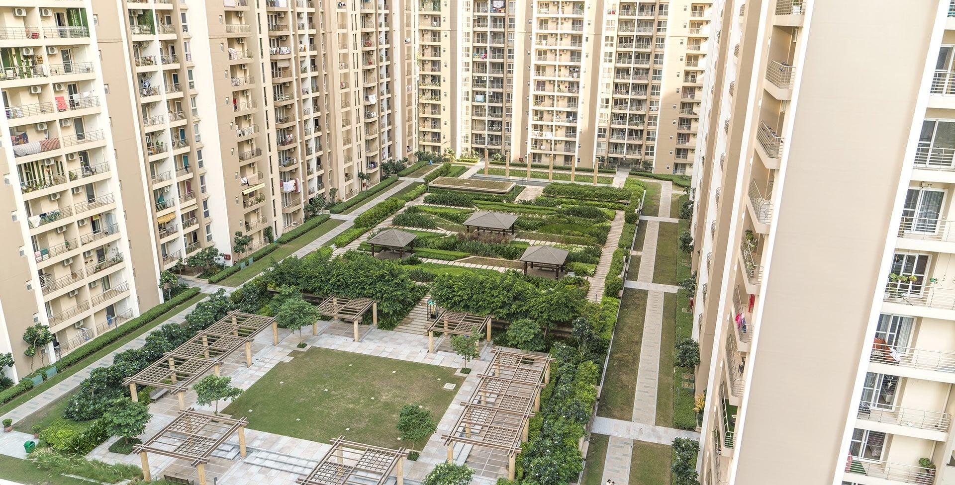 palm-court