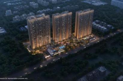 Godrej Aristocrat  Sector 49, Gurugram, Haryana