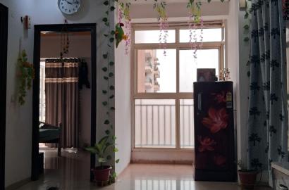 Nirala Estate Phase 1 – 955 SQFT | 2BHK Flat for Sale | Noida Extension